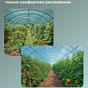 Сетка затеняющая Промышленник зеленая 70% 3х100 м фото 3