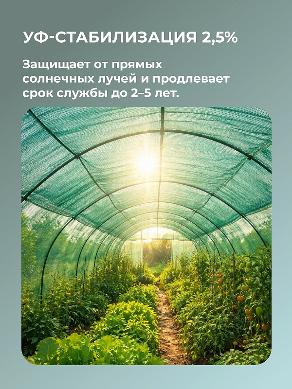 /upload/resize_cache/iblock/358/800_800_0/0qtttyol85xwla5a7i6q2aktkvaij9ss.jpg