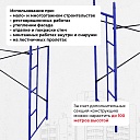 Рама с лестницей ЛРСП 100 фото 5